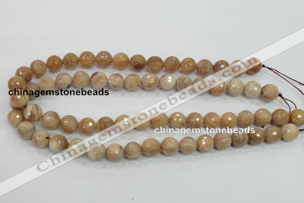 CMS85 15.5 inches 12mm faceted round moonstone gemstone beads