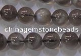 CMS852 15.5 inches 8mm round natural black moonstone beads