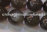 CMS855 15.5 inches 14mm round natural black moonstone beads