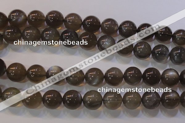 CMS855 15.5 inches 14mm round natural black moonstone beads