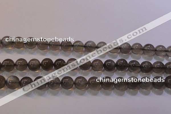 CMS860 15.5 inches 10mm round A grade natural black moonstone beads