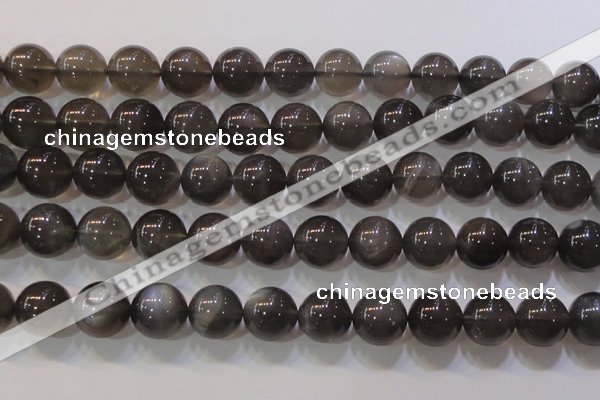 CMS861 15.5 inches 12mm round A grade natural black moonstone beads