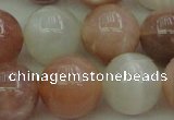 CMS895 15.5 inches 14mm round moonstone gemstone beads wholesale