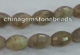 CMS92 15.5 inches 10*14mm faceted rice moonstone gemstone beads