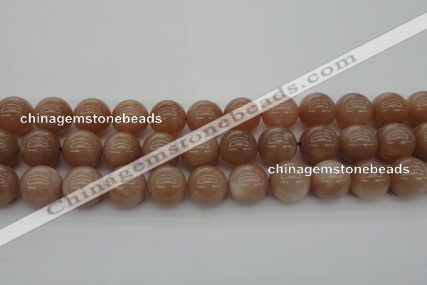 CMS935 15.5 inches 14mm round A grade moonstone gemstone beads