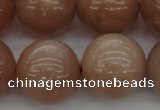 CMS936 15.5 inches 16mm round A grade moonstone gemstone beads