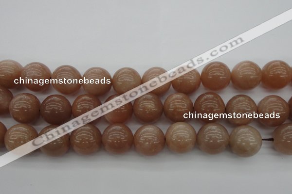 CMS936 15.5 inches 16mm round A grade moonstone gemstone beads