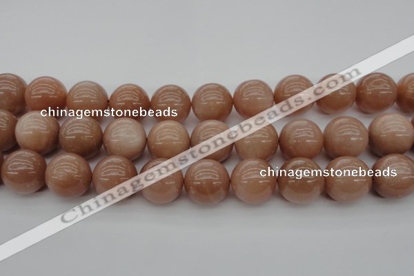 CMS937 15.5 inches 18mm round A grade moonstone gemstone beads