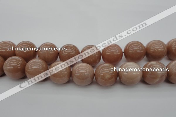 CMS938 15.5 inches 20mm round A grade moonstone gemstone beads