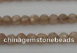 CMS940 15.5 inches 4mm faceted round A grade moonstone gemstone beads