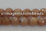 CMS941 15.5 inches 6mm faceted round A grade moonstone gemstone beads