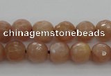 CMS941 15.5 inches 6mm faceted round A grade moonstone gemstone beads