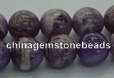 CNA1004 15.5 inches 12mm round dogtooth amethyst beads wholesale