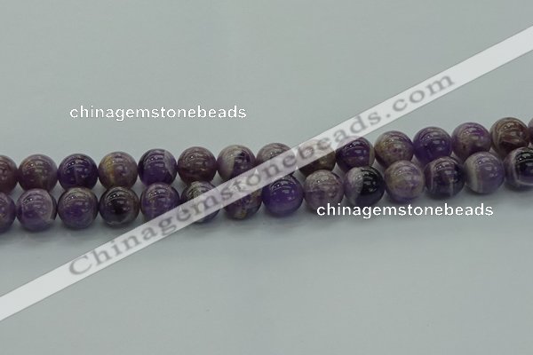 CNA1004 15.5 inches 12mm round dogtooth amethyst beads wholesale