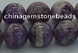 CNA1005 15.5 inches 14mm round dogtooth amethyst beads wholesale