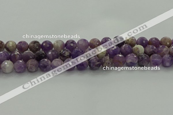 CNA1013 15.5 inches 10mm faceted round dogtooth amethyst beads