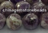 CNA1015 15.5 inches 14mm faceted round dogtooth amethyst beads