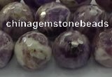 CNA1015 15.5 inches 14mm faceted round dogtooth amethyst beads