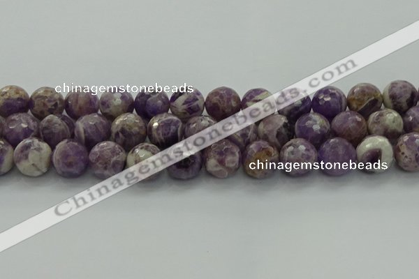 CNA1015 15.5 inches 14mm faceted round dogtooth amethyst beads