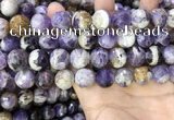 CNA1091 15.5 inches 14mm faceted round dogtooth amethyst beads