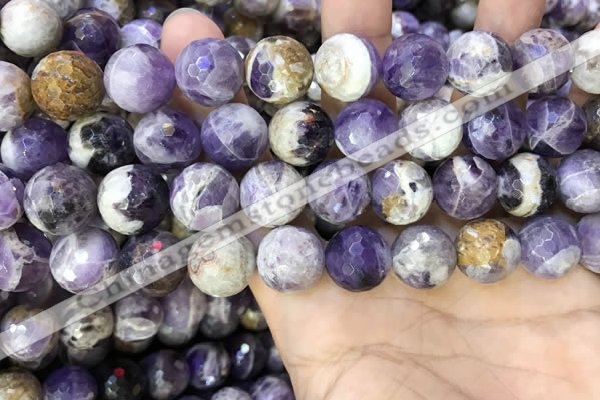 CNA1091 15.5 inches 14mm faceted round dogtooth amethyst beads