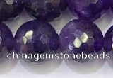 CNA994 15.5 inches 12mmm faceted round amethyst beads wholesale