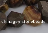 CNG1038 13*18mm - 18*25mm faceted nuggets ammonite fossil beads