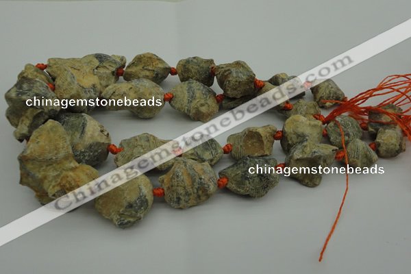 CNG1045 15.5 inches 15*20mm - 25*35mm nuggets inkstone fossil beads
