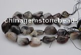 CNG1097 15.5 inches 18*25mm - 25*35mm nuggets botswana agate beads