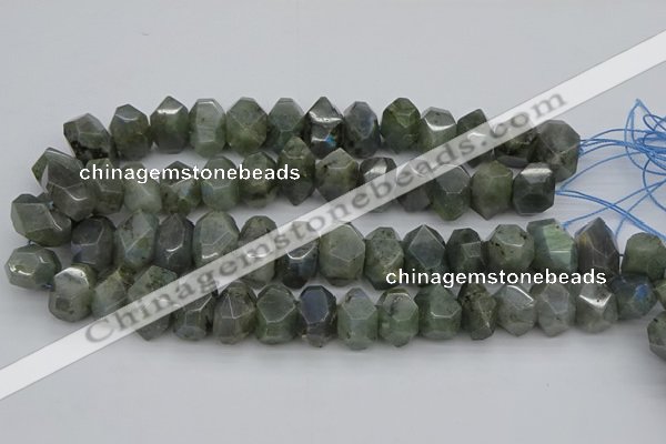 CNG1152 15.5 inches 10*14mm - 15*20mm faceted nuggets labradorite beads