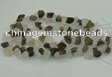 CNG1158 8*12mm - 13*18mm nuggets white crystal & smoky quartz beads