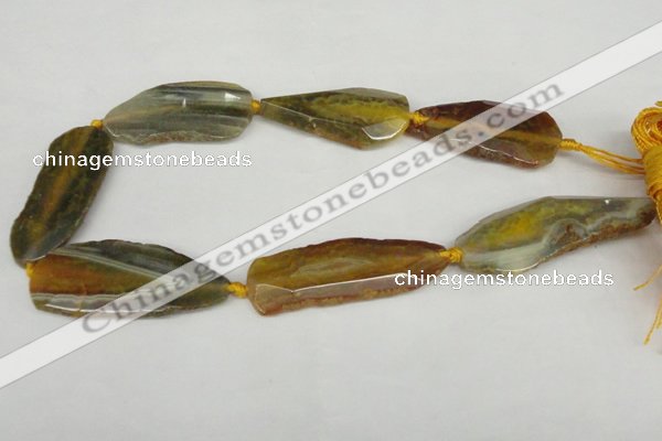 CNG1234 15.5 inches 20*40mm - 25*55mm freeform agate beads