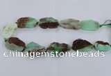 CNG1655 15.5 inches 20*30mm - 30*35mm freeform australia chrysoprase beads