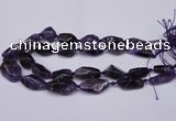 CNG1705 15.5 inches 15*20mm - 18*35mm nuggets amethyst beads