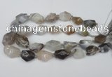 CNG1712 15.5 inches 15*20mm - 20*30mm nuggets botswana agate beads