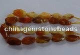 CNG2731 15.5 inches 15*30mm - 20*40mm nuggets agate beads