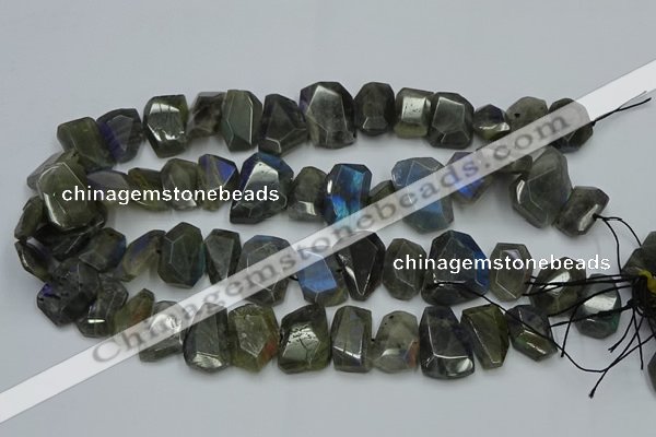 CNG2825 15.5 inches 13*18mm - 15*20mm freeform labradorite beads