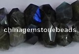 CNG2830 15.5 inches 10*14mm - 13*18mm faceted nuggets labradorite beads