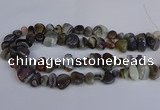 CNG2837 15.5 inches 8*12mm - 15*20mm nuggets botswana agate beads