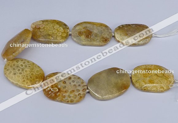 CNG3074 15.5 inches 30*45mm - 35*50mm freeform chrysanthemum agate beads