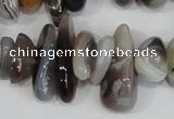 CNG316 15.5 inches 3*6mm - 5*22mm nuggets botswana agate beads