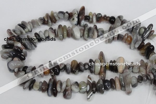 CNG316 15.5 inches 3*6mm - 5*22mm nuggets botswana agate beads