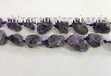 CNG3566 15.5 inches 18*20mm - 25*30mm nuggets rough amethyst beads