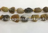 CNG3569 15.5 inches 18*20mm - 25*30mm nuggets rough agate beads