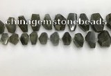 CNG3590 10*16mm - 15*30mm faceted nuggets labradorite beads