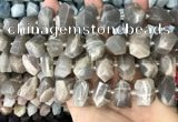 CNG3605 15.5 inches 13*20mm - 15*24mm faceted nuggets moonstone beads