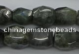 CNG5007 15.5 inches 10*14mm - 13*18mm faceted nuggets labradorite beads