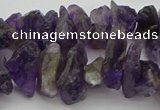 CNG5031 15.5 inches 6*15mm - 8*25mm nuggets amethyst beads