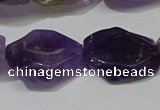 CNG5104 15.5 inches 14*20mm - 18*25mm freeform amethyst beads