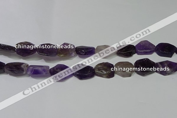 CNG5104 15.5 inches 14*20mm - 18*25mm freeform amethyst beads